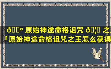 🌺 原始神途命格诅咒 🦟 之王「原始神途命格诅咒之王怎么获得」